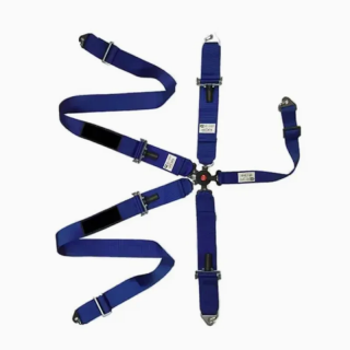 Ποιος είναι ο καθοριστικός ρόλος των ζώων ασφαλείας αυτοκινήτων στην εποχή της αυτόνομης οδήγησης;