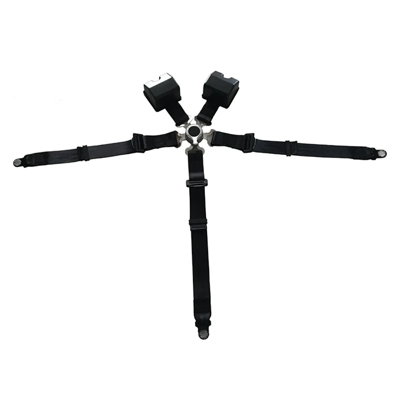 Five-Point Seat Belt